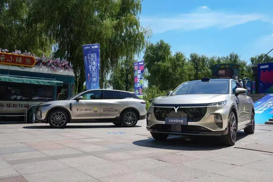 岚图, 赛事 岚图, 赛事