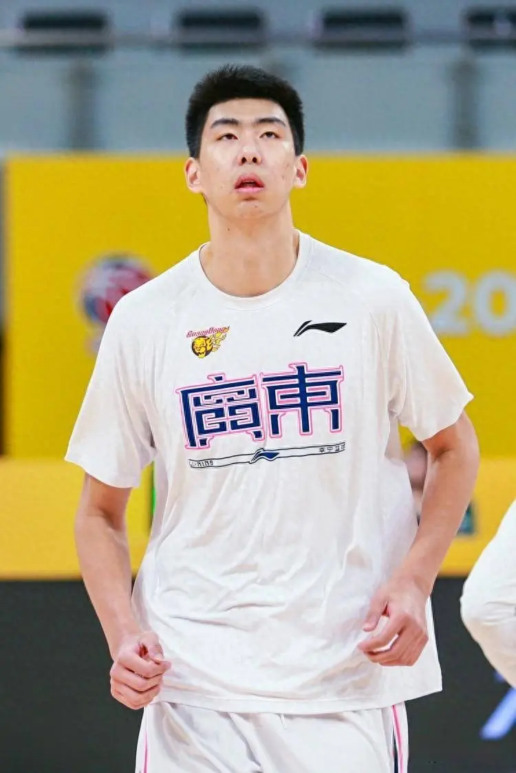 来徐昕, 是可行的, 张镇麟这样