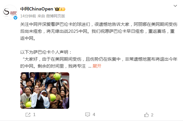 重返中网, dingy, 世界排名第